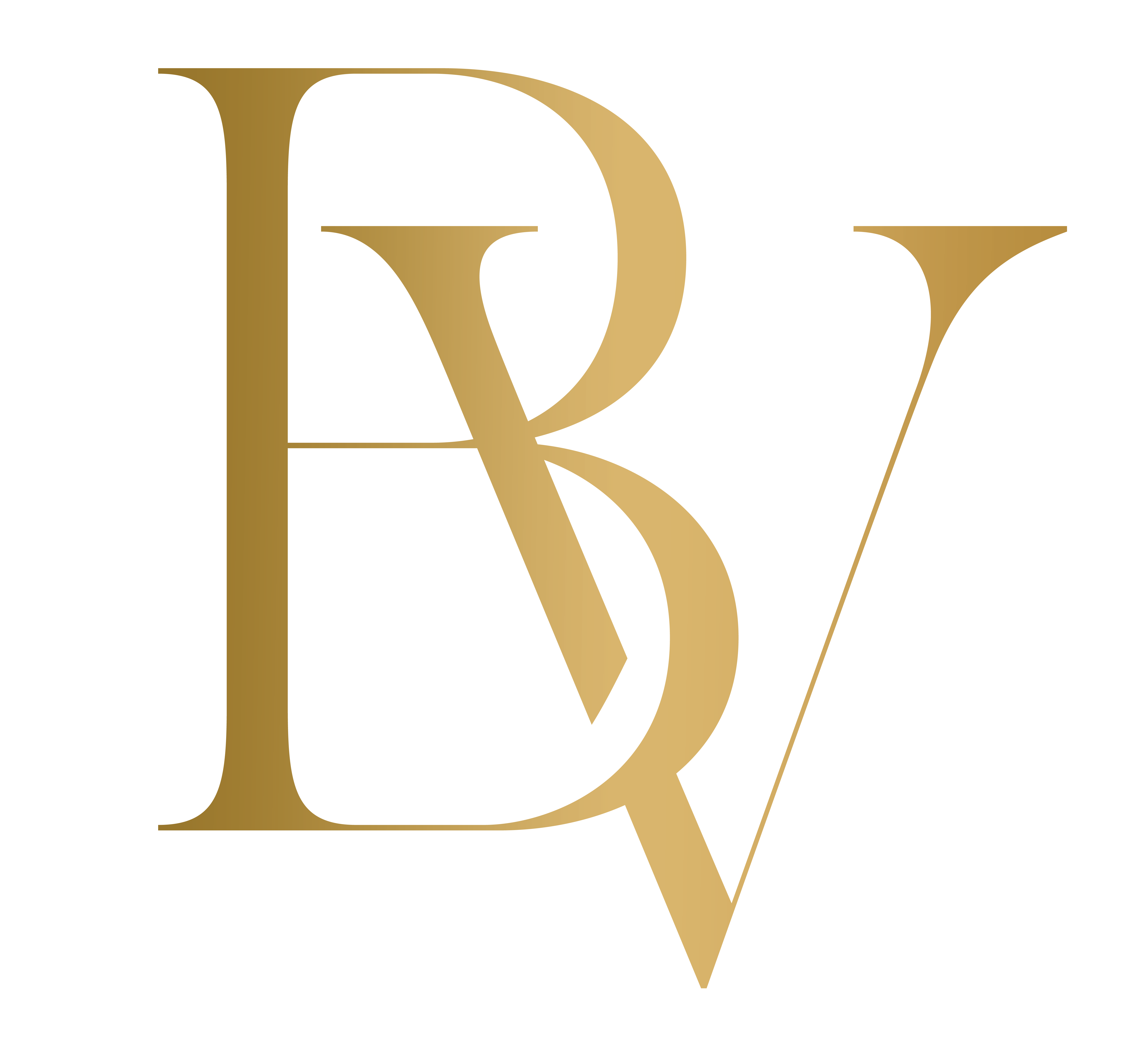 BLAQUE VELVET